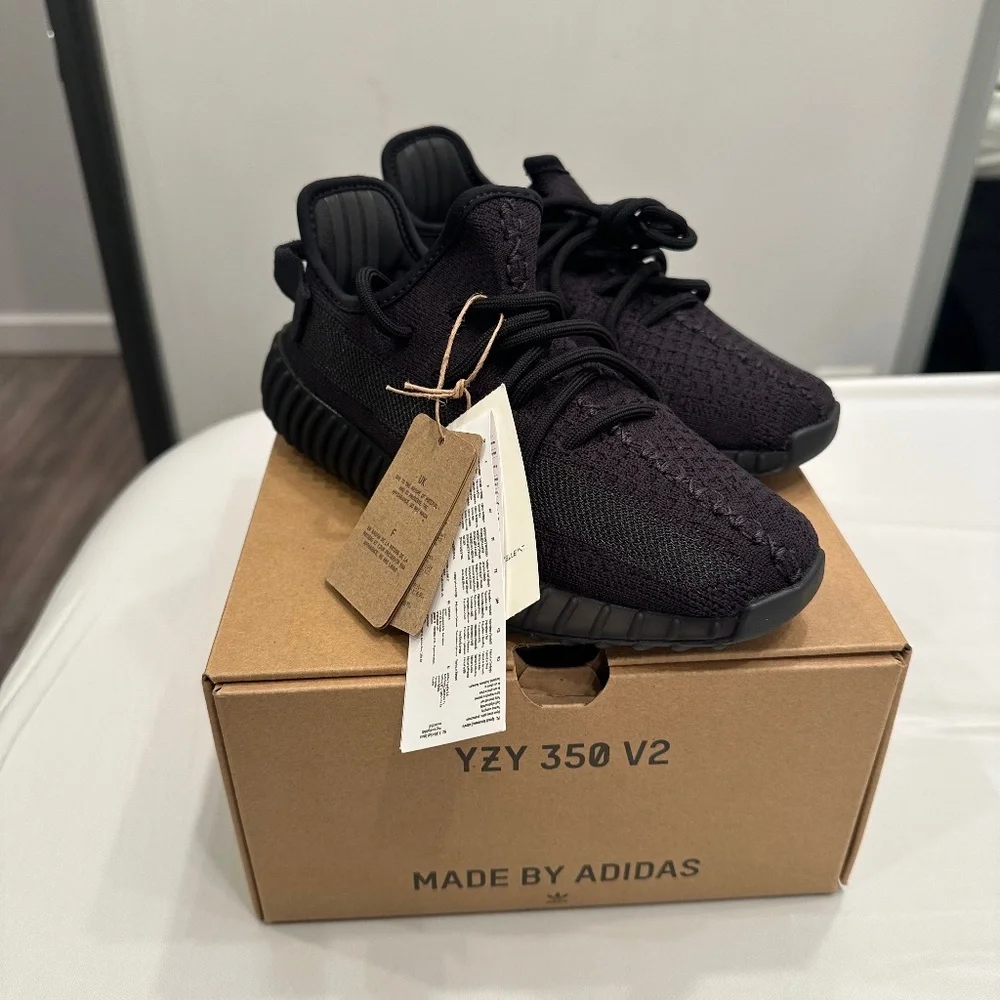 Adidas Yeezy Boost 350 V2 in color Onyx - Picture 1 of 6
